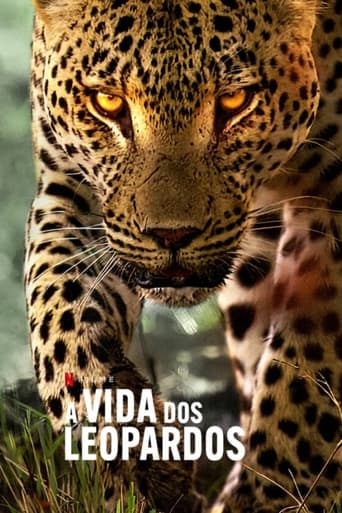 A Vida dos Leopardos Torrent (2024) WEB-DL 1080p Dual Áudio Download