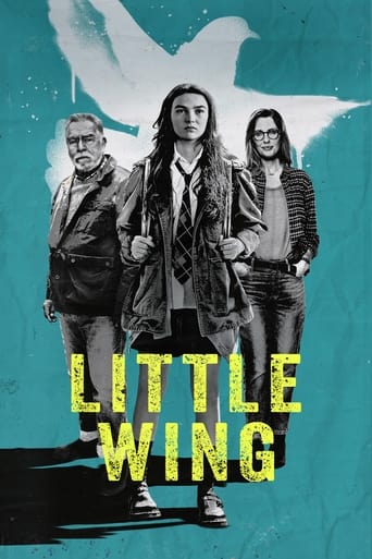 Little Wing Torrent (2024) WEB-DL 1080p Dual Áudio Download