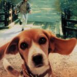 Shiloh-O-Melhor-Amigo-Torrent-1996-Download