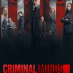 Criminal-Minds-17a-Temporada-Torrent-2024-Download